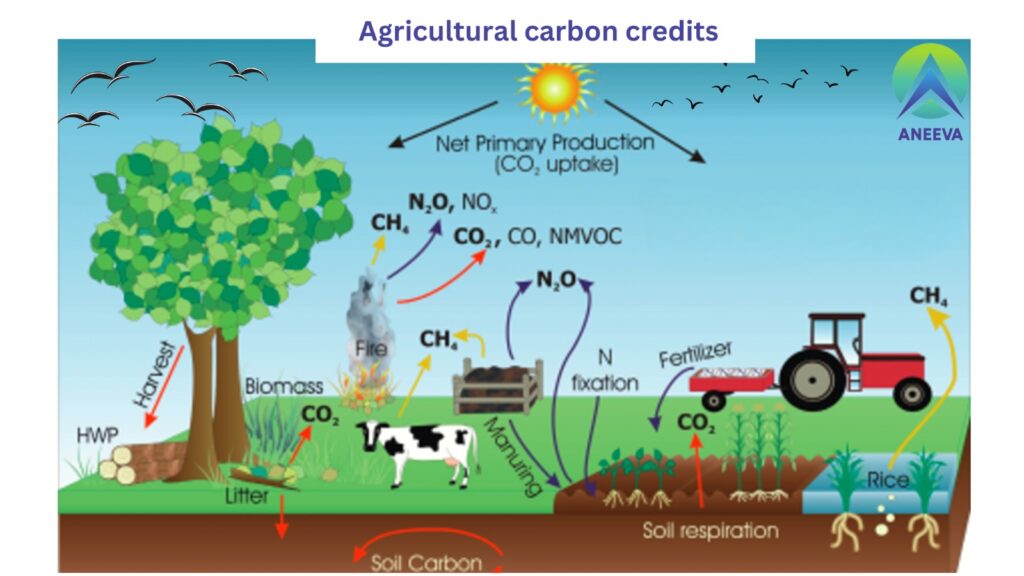 agricultural carbon credits