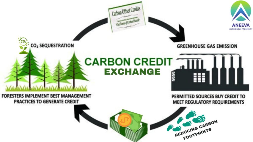 carbon credit exchange