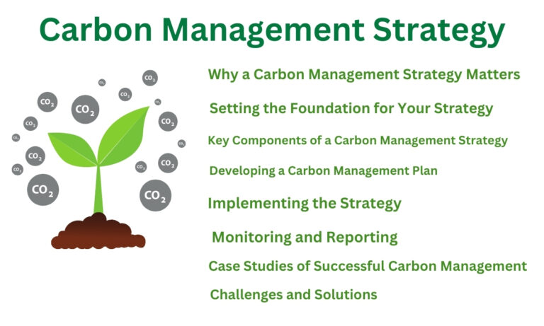 carbon management strategy