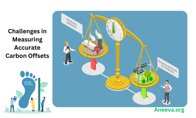 How to measure the carbon Offset