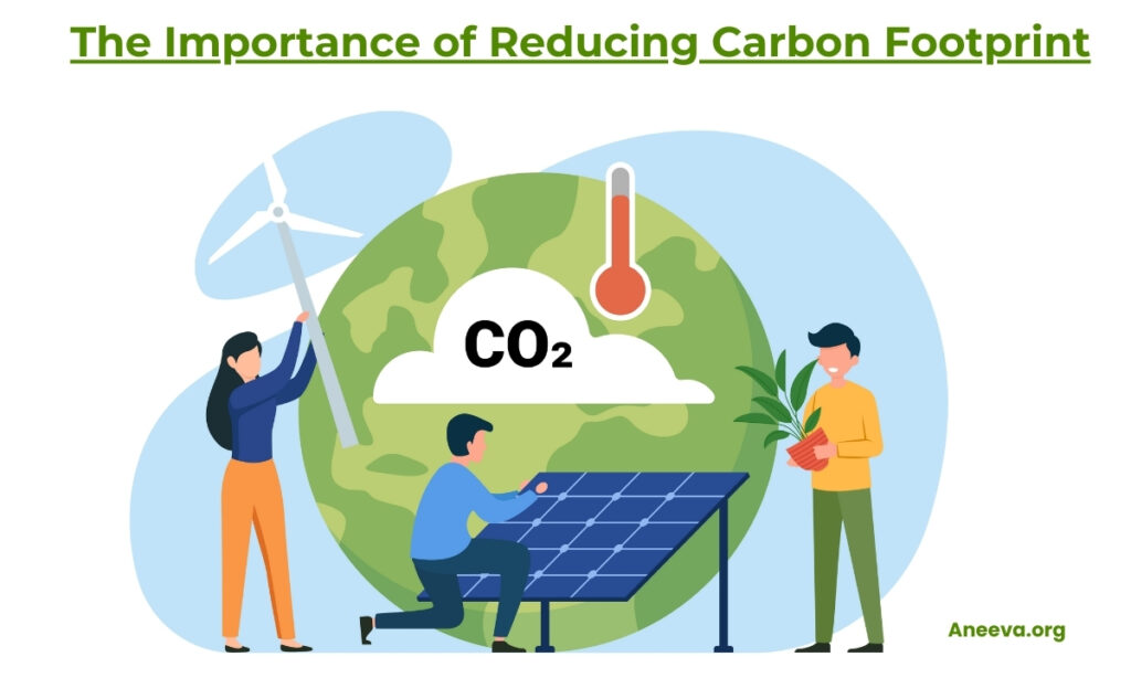 carbon offset projects