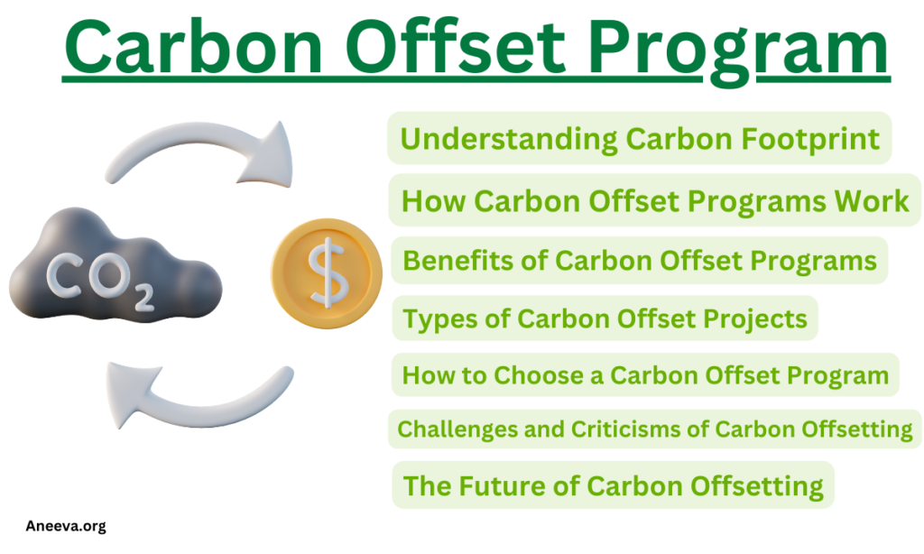 Carbon offset program