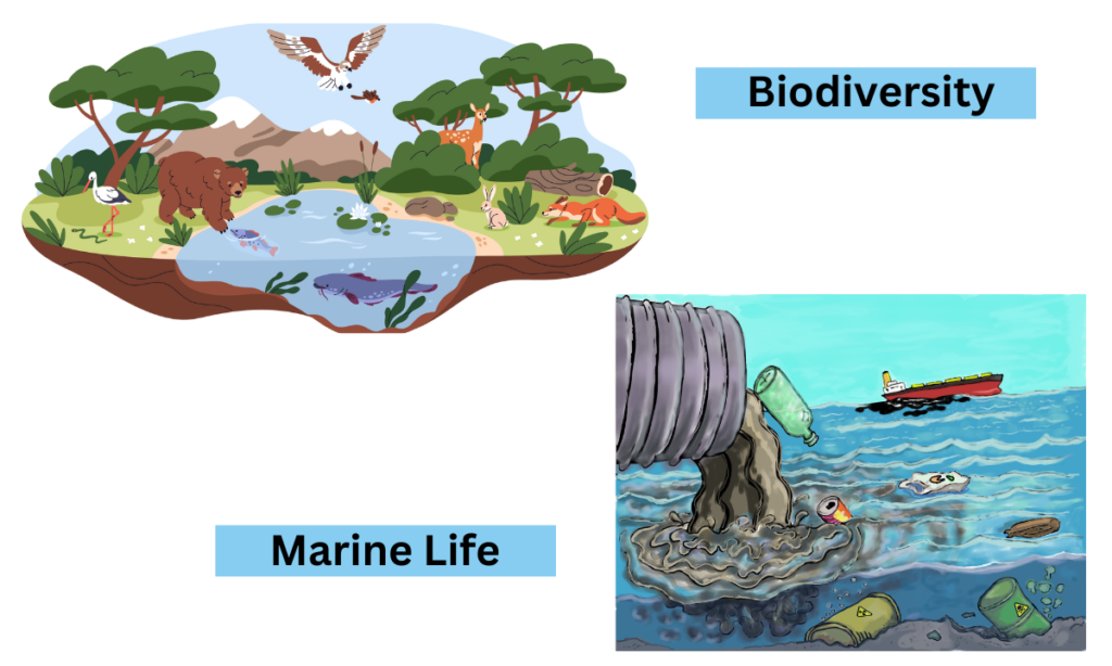 Impact of Climate Change