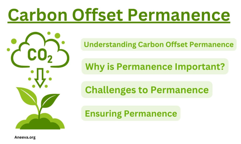 Carbon Offset Permanence