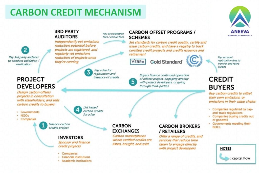 The Mechanics of Carbon Credits