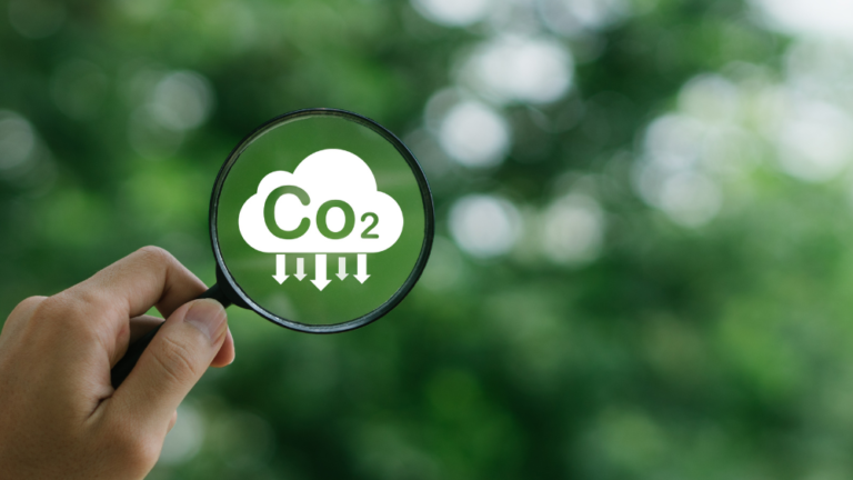 Read more about the article What Are Carbon Credits and How Do They Works