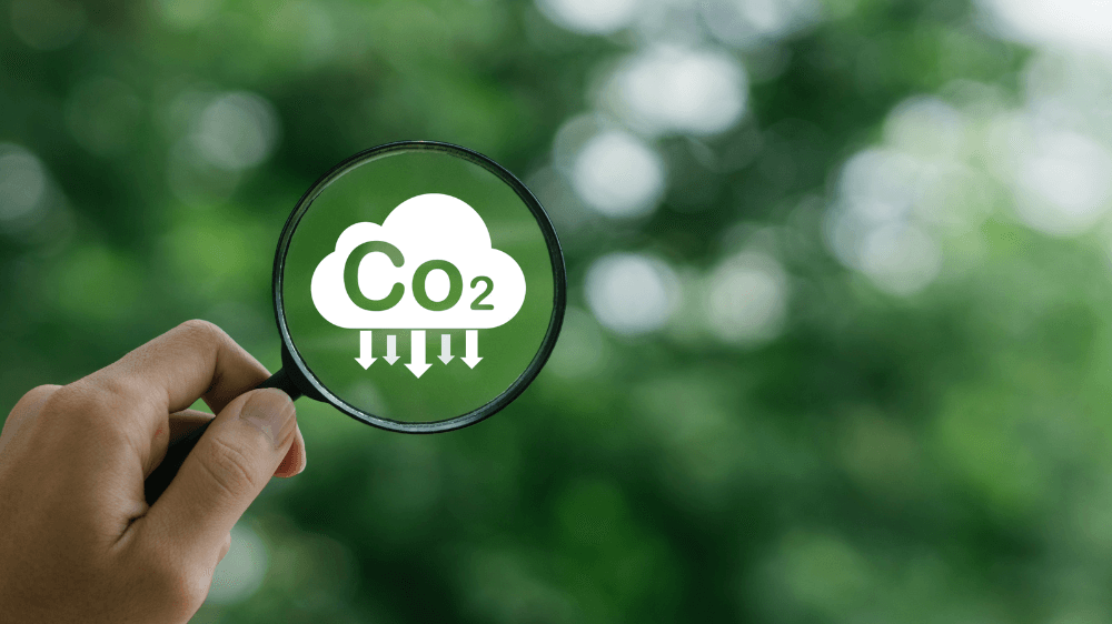 What Are Carbon Credits